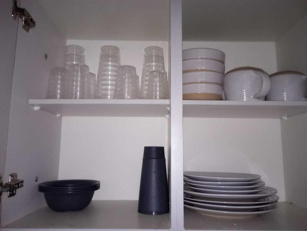Family House Rain Forest And Beaches Pet Friendly Rio Grande Zewnętrze zdjęcie