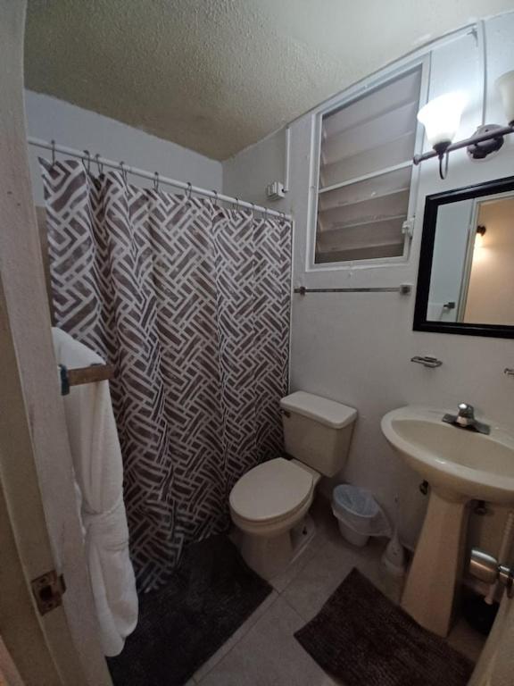 Family House Rain Forest And Beaches Pet Friendly Rio Grande Zewnętrze zdjęcie