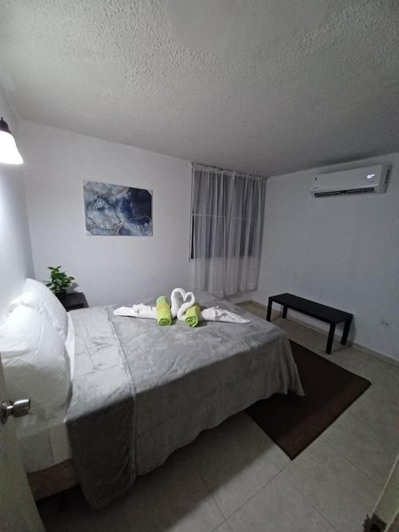 Family House Rain Forest And Beaches Pet Friendly Rio Grande Zewnętrze zdjęcie